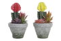 DKD Home Decor Plantas de PE EVA Surtidas (Pack de 6)