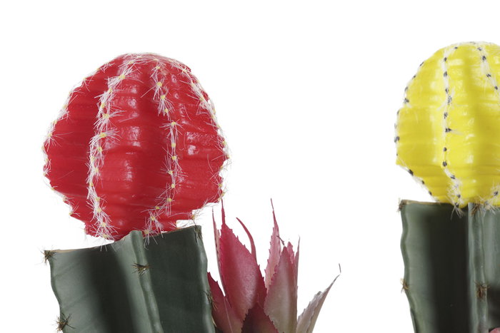 DKD Home Decor Plantas de PE EVA Surtidas (Pack de 6)