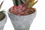 DKD Home Decor Plantas de PE EVA Surtidas (Pack de 6)