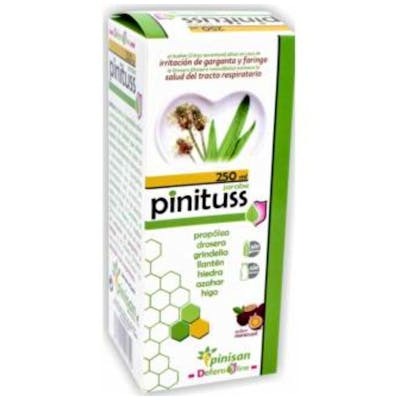 Pinisan Pinituss Jarabe 250 ml