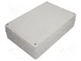 ELEKTRO-PLAST NASIELSK Carcasa Universal Industrial Gris