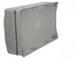 ELEKTRO-PLAST NASIELSK Carcasa Universal Industrial Gris
