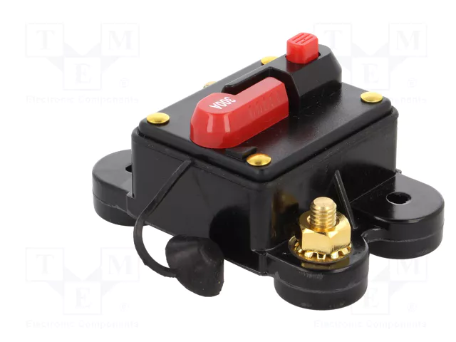 4CARMEDIA Fusible Automático de Coche 300A Retardado