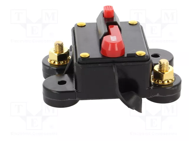 4CARMEDIA Fusible Automático de Coche 300A Retardado