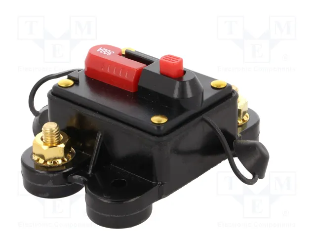 4CARMEDIA Fusible Automático de Coche 300A Retardado