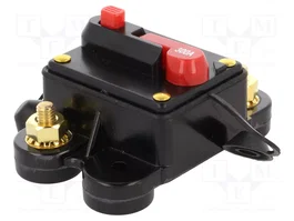 4CARMEDIA Fusible Automático de Coche 300A Retardado