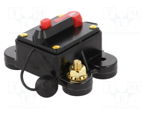 4CARMEDIA Fusible Automático de Coche 300A Retardado