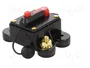 4CARMEDIA Fusible Automático de Coche 300A Retardado