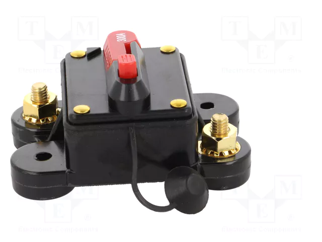 4CARMEDIA Fusible Automático de Coche 300A Retardado