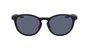 Nike EVOLUTION-DZ7360-5119011 Gafas de sol Negro