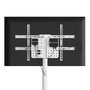 Ewent Soporte Móvil para TV EW1550, Altura Ajustable hasta 2.18 m (86 Pulgadas), 50 kg Capacidad, Color Blanco, con Ruedas y Gestión de Cables