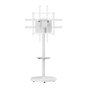 Ewent Soporte Móvil para TV EW1550, Altura Ajustable hasta 2.18 m (86 Pulgadas), 50 kg Capacidad, Color Blanco, con Ruedas y Gestión de Cables