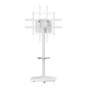 EWENT EW1550 Soporte para TV de Piso Ajustable en Altura, 2,18 m (86"), Blanco