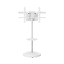 EWENT EW1550 Soporte para TV de Piso Ajustable en Altura, 2,18 m (86"), Blanco