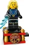 LEGO NINJAGO Exposición de Personajes Ninja: 15 Aniversario 71866
