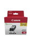 Canon PGI-570XL 0318C010 Pack de 2 Cartuchos de Tinta Negro XL