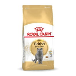 Royal Canin Pienso para Gato Adult British Shorthair 10 kg