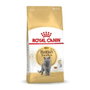 Royal Canin Royal Feline Adult British Shorthair 10kg Vet