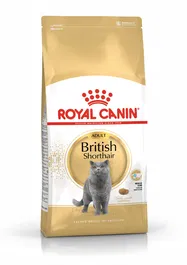 Royal Canin Pienso para Gato Adult British Shorthair 10 kg