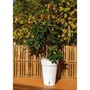 Jardinera RIVIERA LOFT HIGH 53 - Blanco