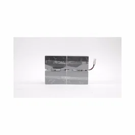 Eaton EB014SP Batería VRLA 12 V 9 Ah para UPS