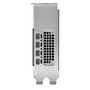 PNY NVIDIA RTX 2000 Ada Generation 16 GB GDDR6