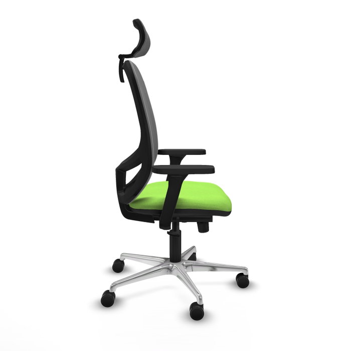 PIQUERAS Y CRESPO Silla de oficina Cilanco con mecanismo Sincro, Pistacho y Gris PIQUERAS Y CRESPO Silla de oficina Cilanco con mecanismo Sincro, Pistacho y Gris