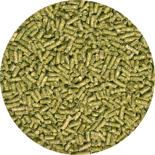 ZooMed Comida para Iguana Adulta Pellet Semi Húmedo 567g ZooMed Comida para Iguana Adulta Pellet Semi Húmedo 567g