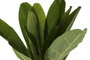 DKD Home Decor Planta Tropical Artificial Colección Banana Palma Bananera Verde 90 x 90 x 201 cm 2 Unidades