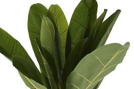 DKD Home Decor Planta Tropical Banana Verde 90 x 200 x 90 cm (2 Unidades)