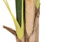 DKD Home Decor Planta Tropical Artificial Colección Banana Palma Bananera Verde 90 x 90 x 201 cm 2 Unidades