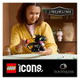LEGO Icons Cómo Entrenar a tu Dragón: Desdentao 10375