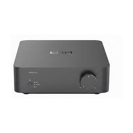 WiiM Vibelink Amp Amplificador HiFi de 1 canal, 200 W, Clase D, THD 0.0005%, SNR 120 dB, gris