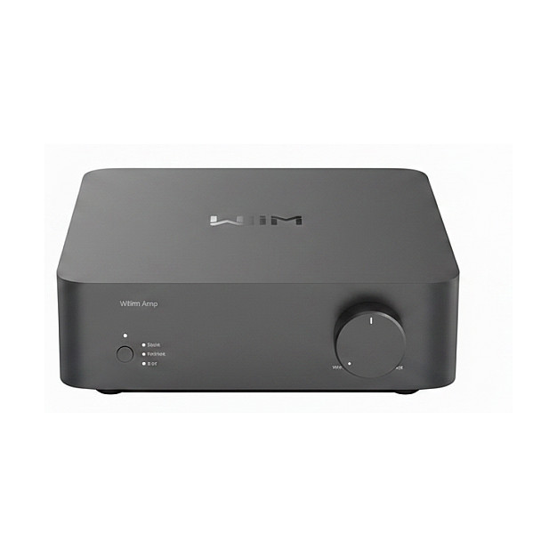 WiiM Vibelink Amp Amplificador HiFi de 1 canal, 200 W, Clase D, THD 0.0005%, SNR 120 dB, gris