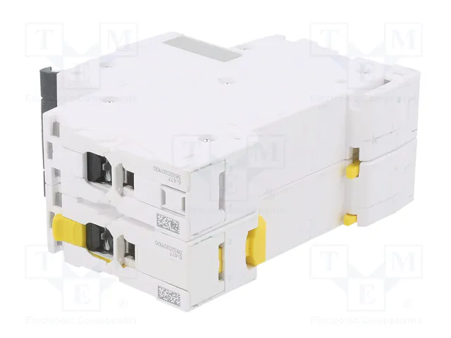 SCHNEIDER ELECTRIC iC60N Interruptor magnetotérmico 63A 2 polos Curva B