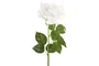 DKD Home Decor Flor Blanco 12 Unidades 15 x 66 x 15 cm