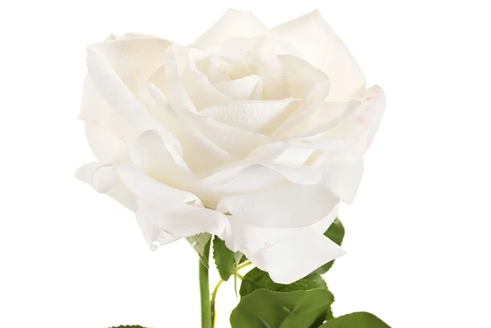 DKD Home Decor Flor Blanco 12 Unidades 15 x 66 x 15 cm