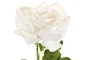 DKD Home Decor Flor Blanco 12 Unidades 15 x 66 x 15 cm