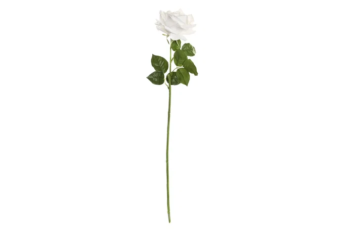 DKD Home Decor Flor Blanco 12 Unidades 15 x 66 x 15 cm DKD Home Decor Flor Blanco 12 Unidades 15 x 66 x 15 cm