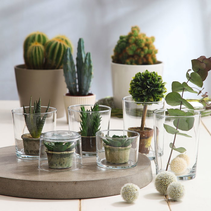 Lav Set 3 Vasos Chiquito 240Cc Colección Bodega (16 Cajas)