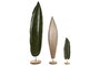 DKD Home Decor Set de Decoración de 3 Piezas de Mango y Metal con Hojas Lacadas