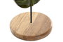 DKD Home Decor Set de Decoración de 3 Piezas de Mango y Metal con Hojas Lacadas