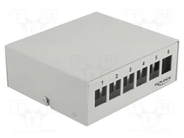 DeLOCK Panel de conexiones Keystone 6 puertos Gris Metal