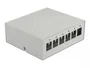 DeLOCK Patchpanel Keystone 6 Puertos Gris