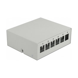 DeLOCK Panel de conexiones Keystone de 6 puertos, gris, metal, 112.5 mm x 123.5 mm x 45.2 mm
