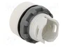 ABB ML1 Lámpara de control blanca de 22mm
