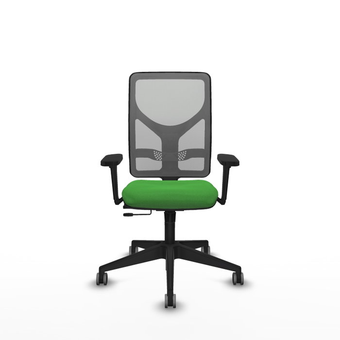 PIQUERAS Y CRESPO Silla de oficina Motilla con mecanismo Sincro/Traslack, Verde y Gris PIQUERAS Y CRESPO Silla de oficina Motilla con mecanismo Sincro/Traslack, Verde y Gris