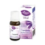 El Granero Aceite Esencial Lavanda Bio 12ml (Pack de 6 unidades)</h1>