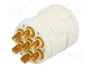 HARTING Conector M23 Hembra de 7 Pines para Aplicaciones Industriales