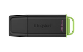 Kingston DataTraveler Exodia 256 GB USB 3.2 Gen 1 Negro/Verde